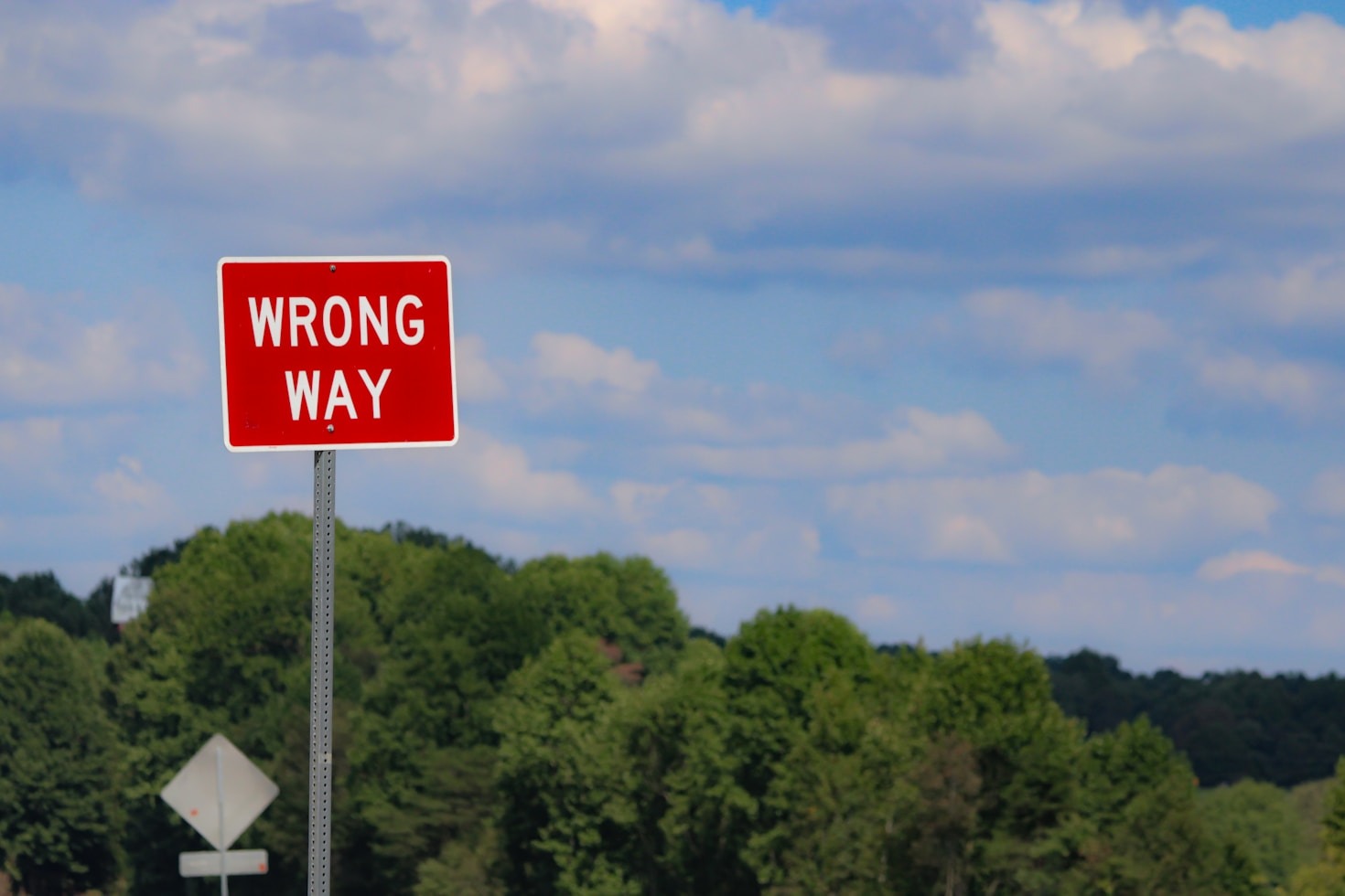 Learning To Forgive Your Younger Self
