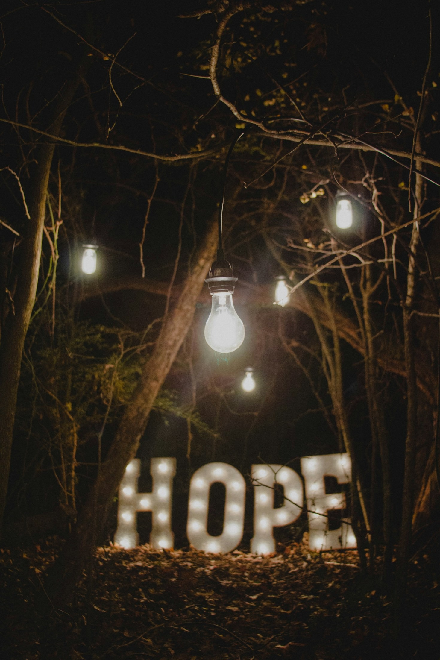 Refining Your Future Through Intentional Choices